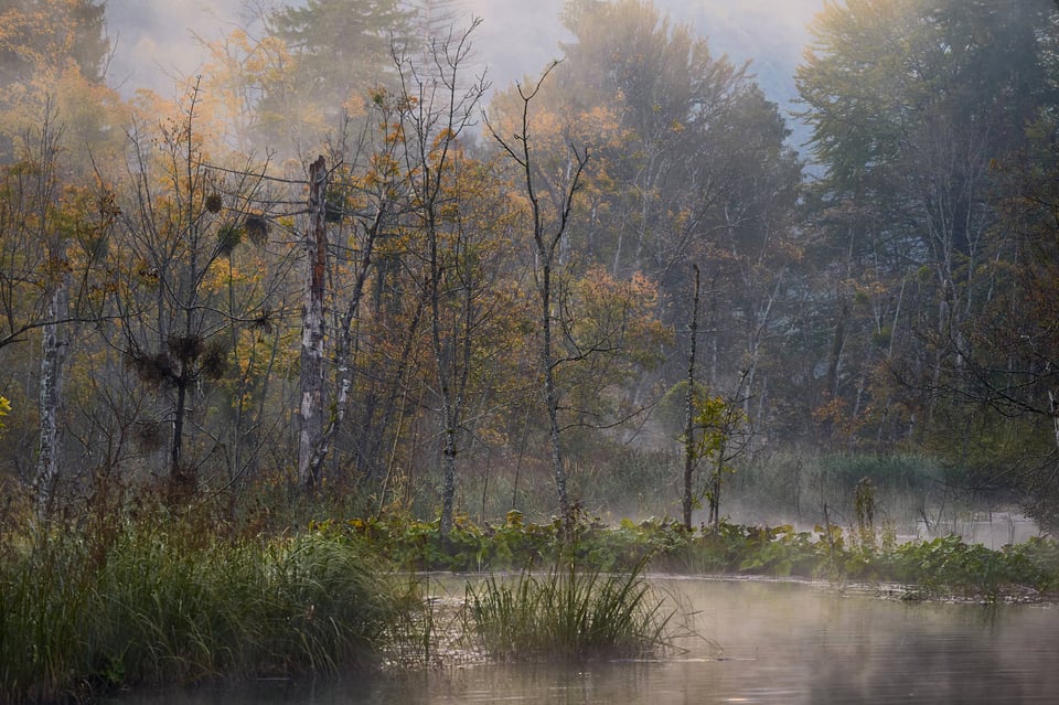 4. Foggy Morning at Plitvice