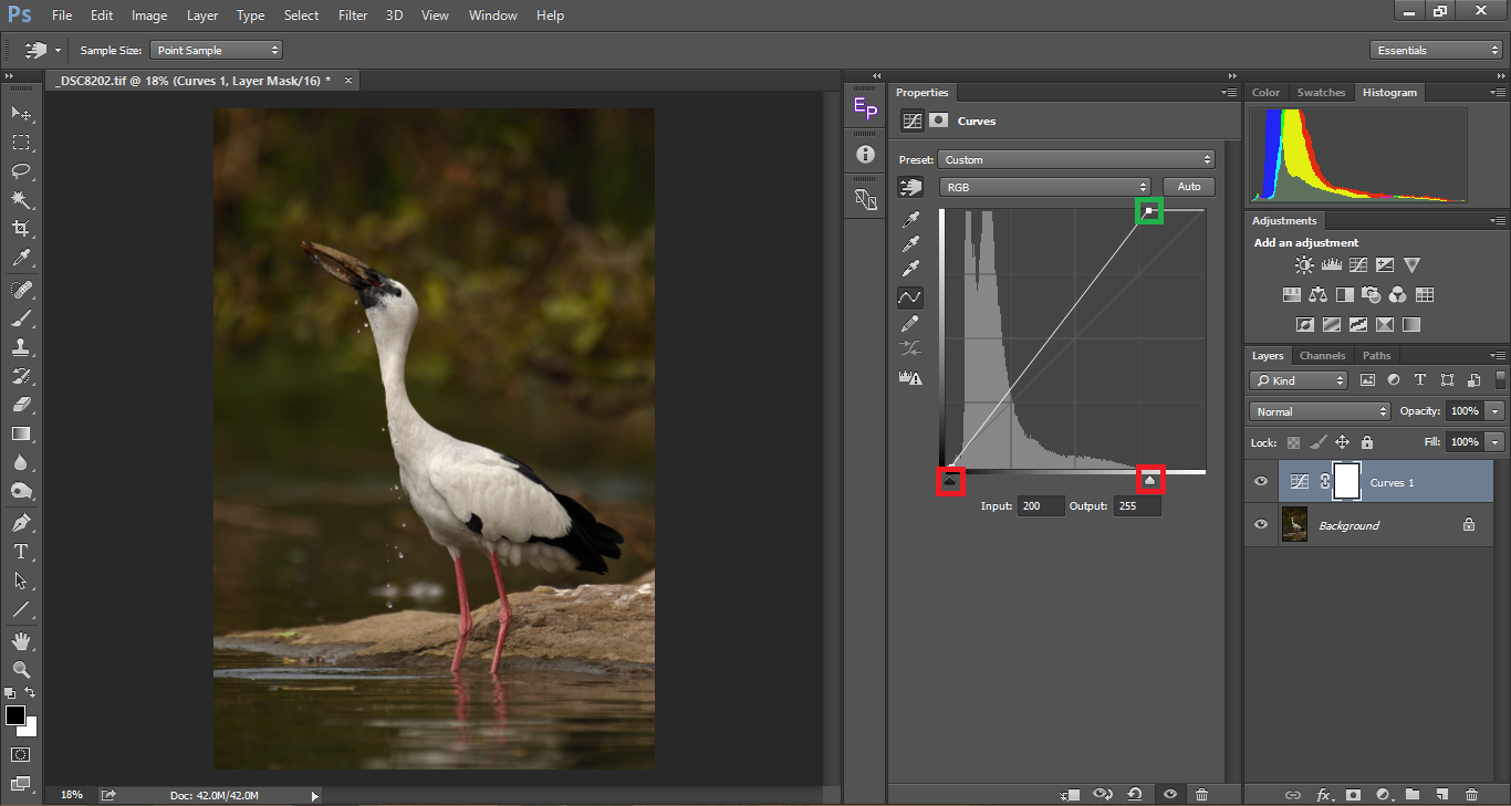 5 Reasons to Use Photoshop Curves Instead of Levels