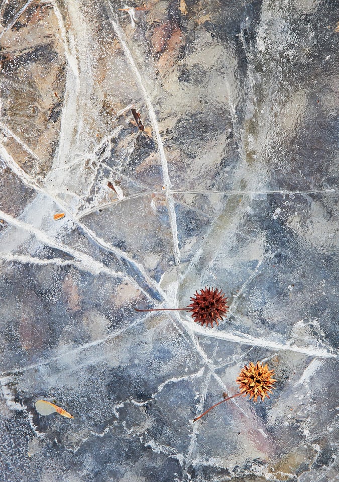 Colors in the Ice