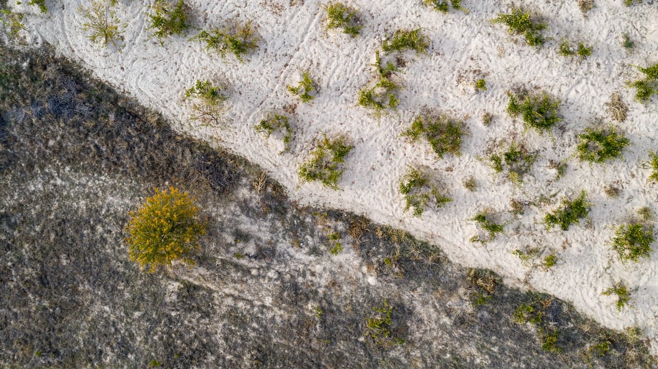 DJI Mavic 2 Pro Sample Image #8