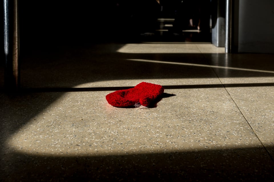 Lonely Red Mitten