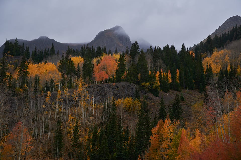 Nikon 24-70mm f/4 in Bad Weather