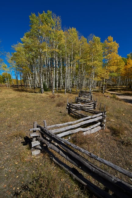 Laowa 12mm 2.8 Fall Colors Photo