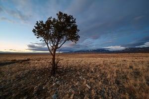 Laowa 12mm f2.8 Sample Landscape Photo