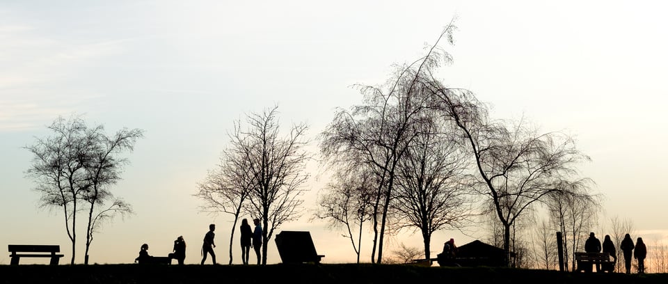 Evening at the Park