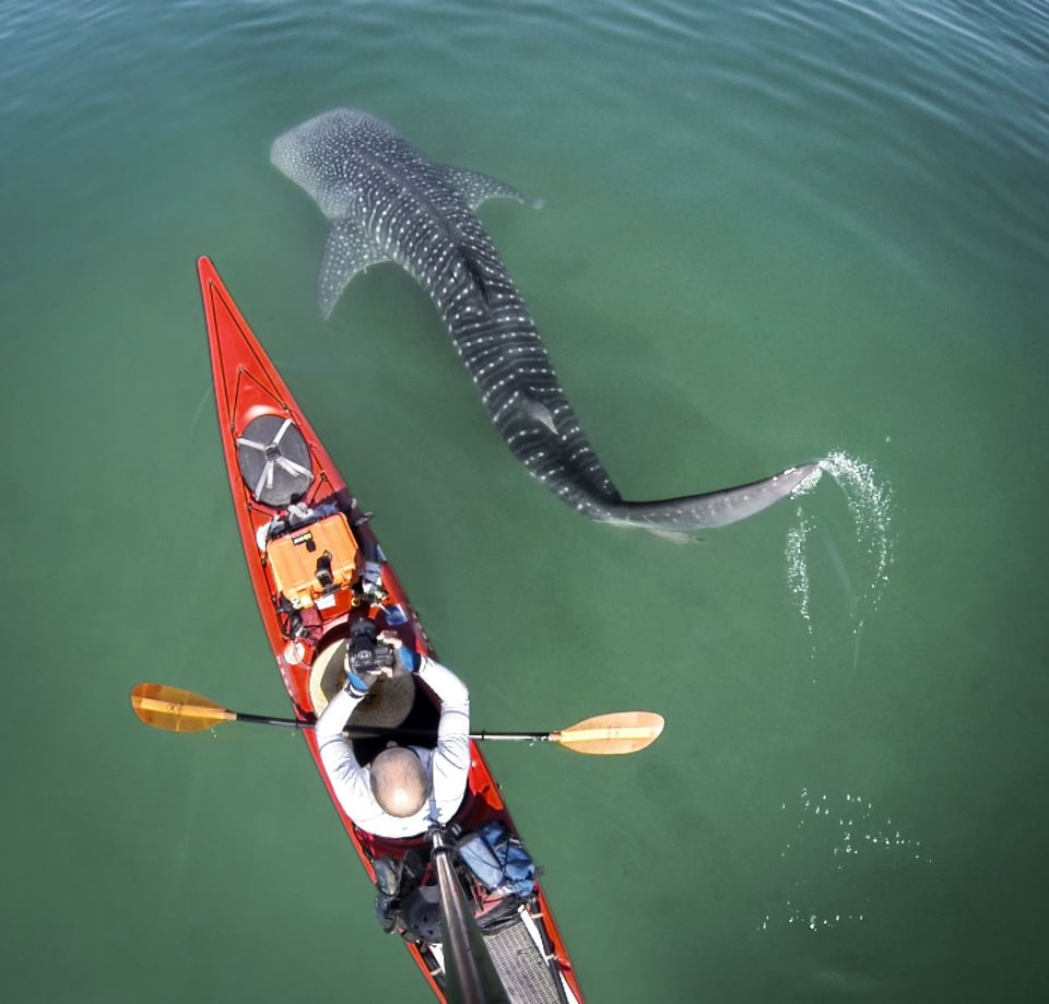 Kayak from Above