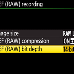 Nikon NEF Bit Depth Menu