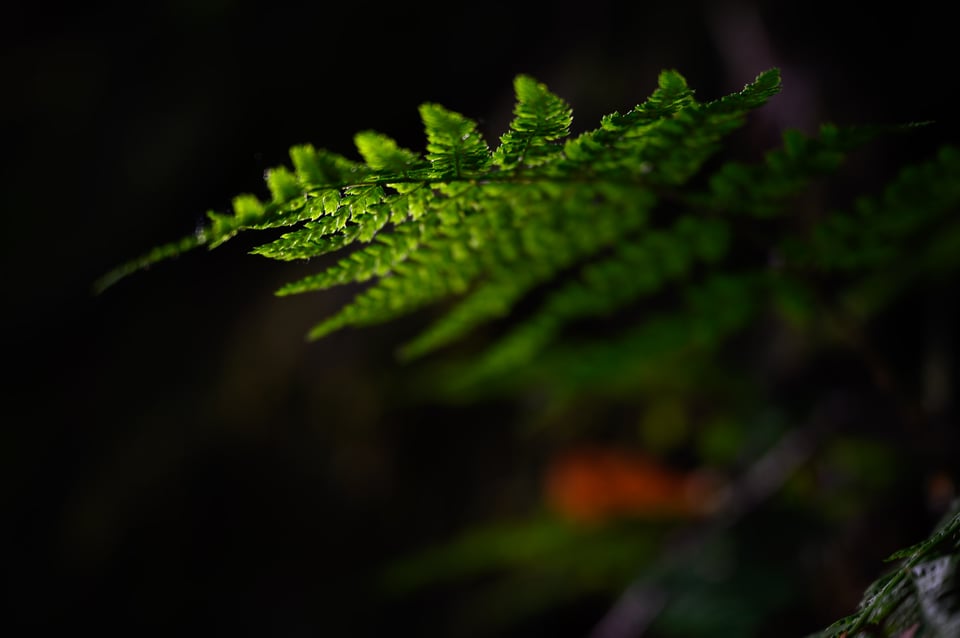 Cesky-raj_190602_006