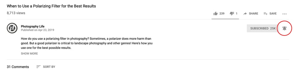 YouTube Bell Icon Subscription