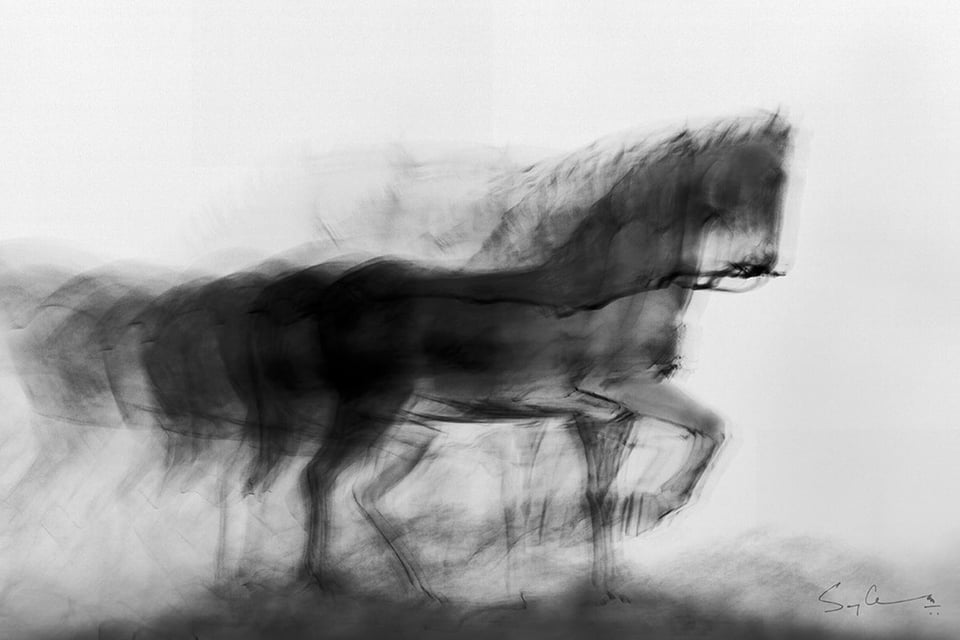 15.-Horse-of-Mumbai_Chatterjee_slow-shutter