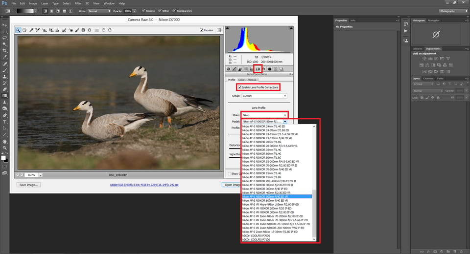 Adobe Camera RAW Profile