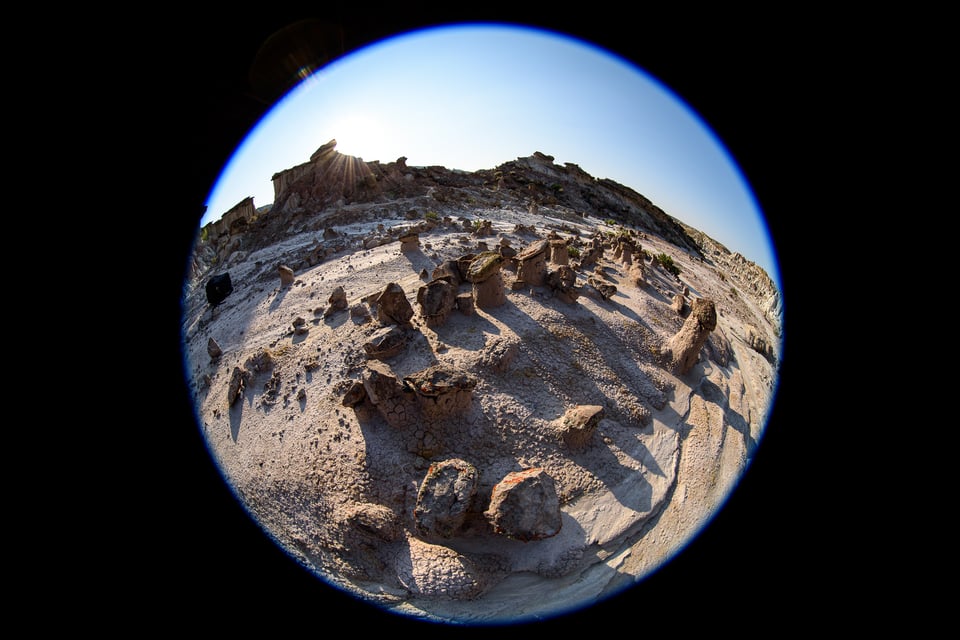 A circular image from a fisheye lens