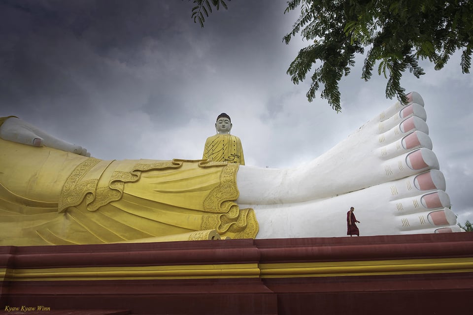 Walking with Giants - Monywa