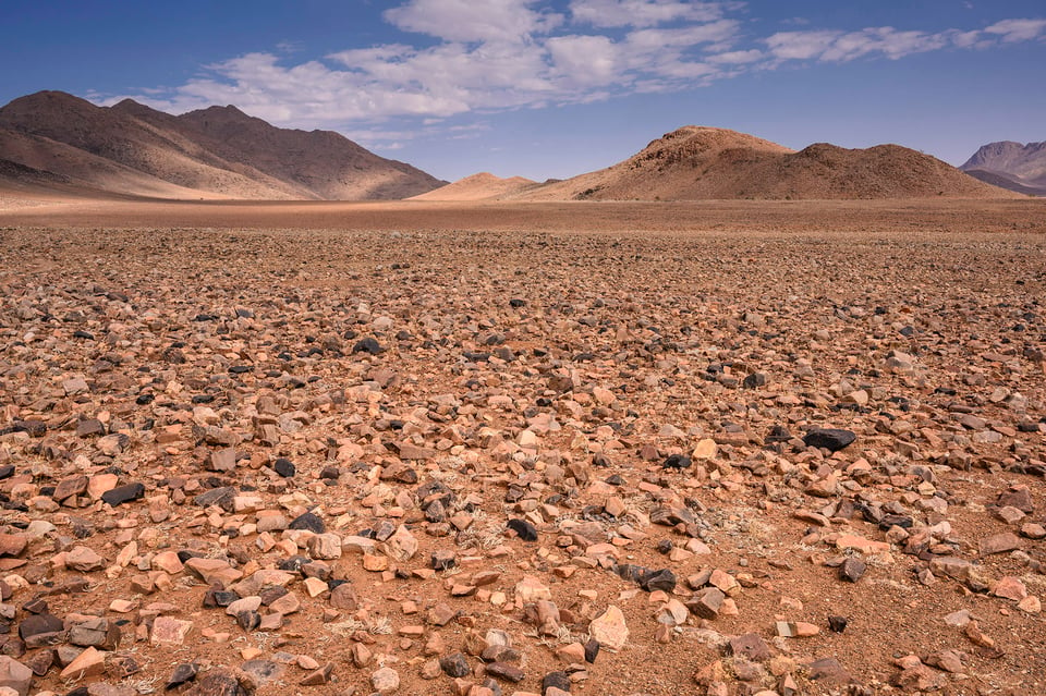 A close up of a desert field in Namibia with a mountain in the background