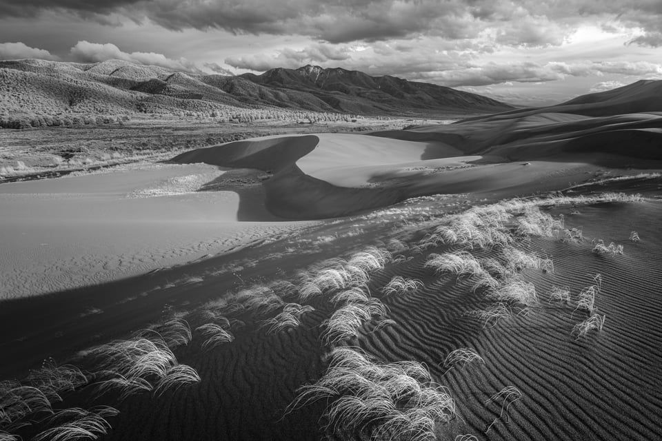 I took this black and white landscape photo of the Great Sand Dunes National Park in Colorado using the Rokinon 14mm f/2.4 on the Nikon D800e.