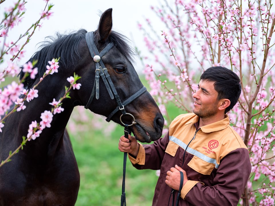 Uzbek man looking at his horse