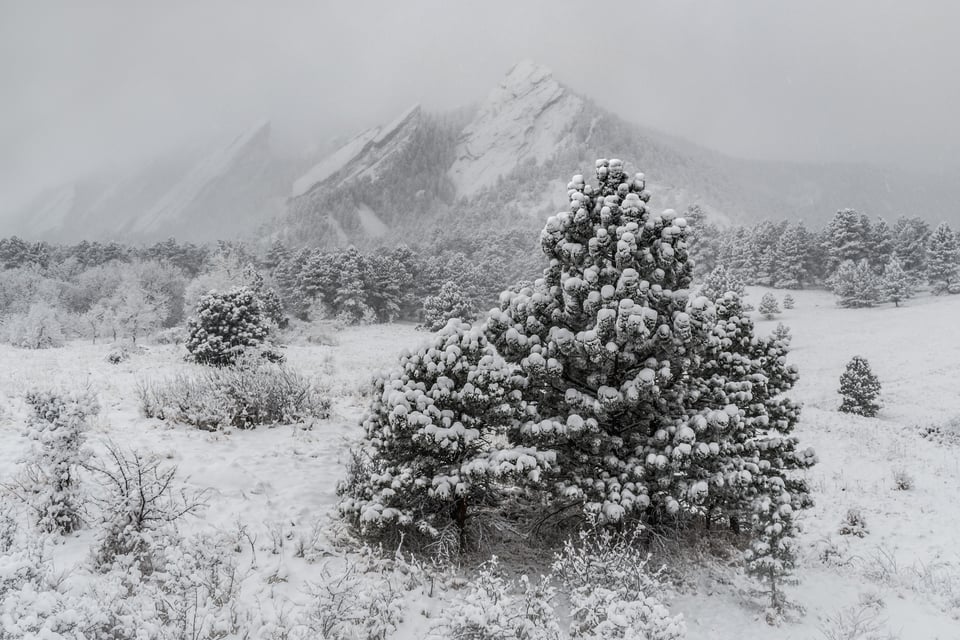 Although this is a color photograph, it looks monochromatic because of all the snow.