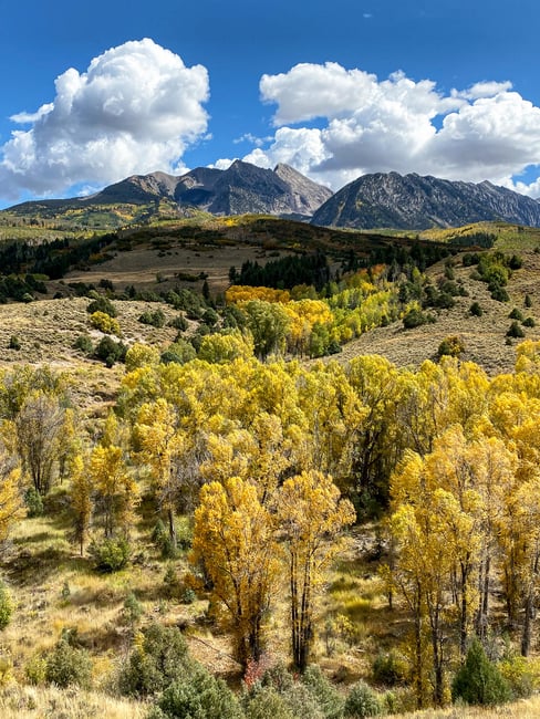 Fall Colors in Colorado