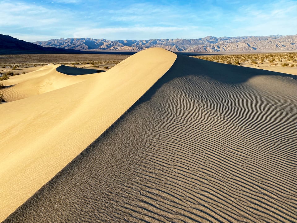 Mesquite Sand Dunes Curve