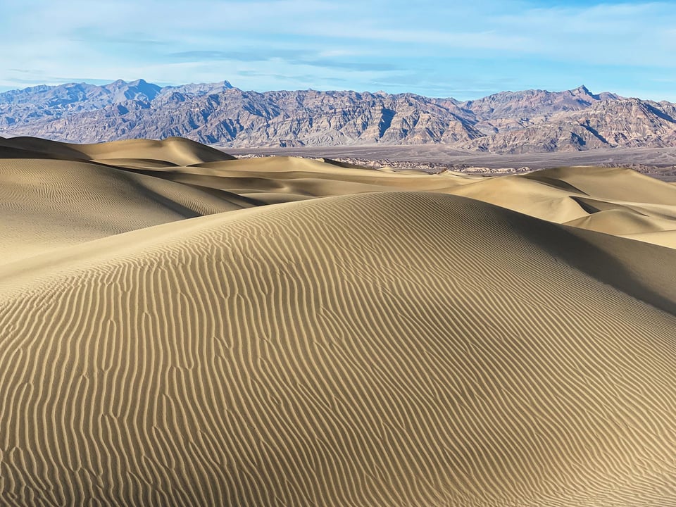 Mesquite Sand Dunes Lines