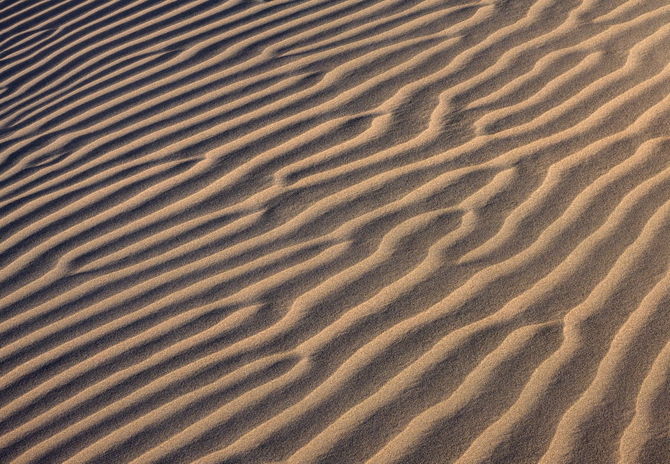 Nikon Z 85mm f1.8 S Image Sample #27