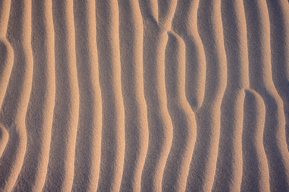 Nikon Z 85mm f/1.8 S Image Sample #30