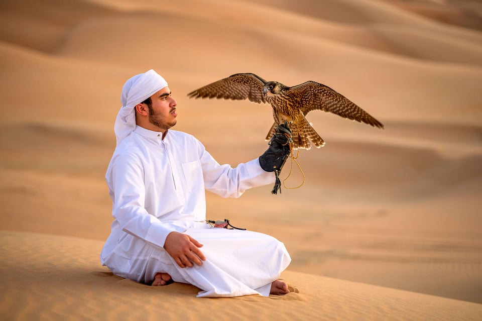 Falconer and his falcon