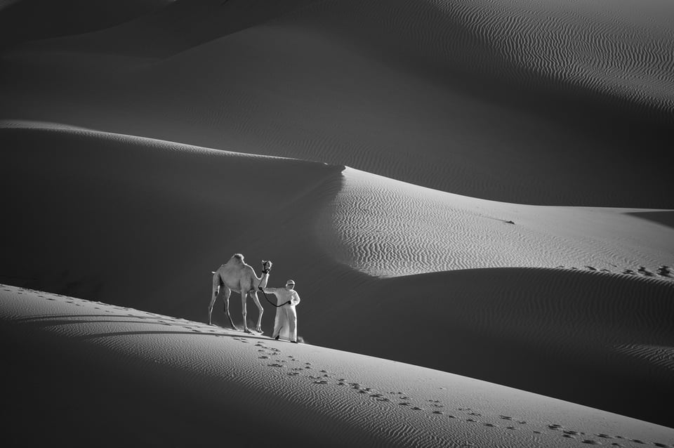 Camel Herder in Liwa Desert with Camel on Sand Dune, Black and White