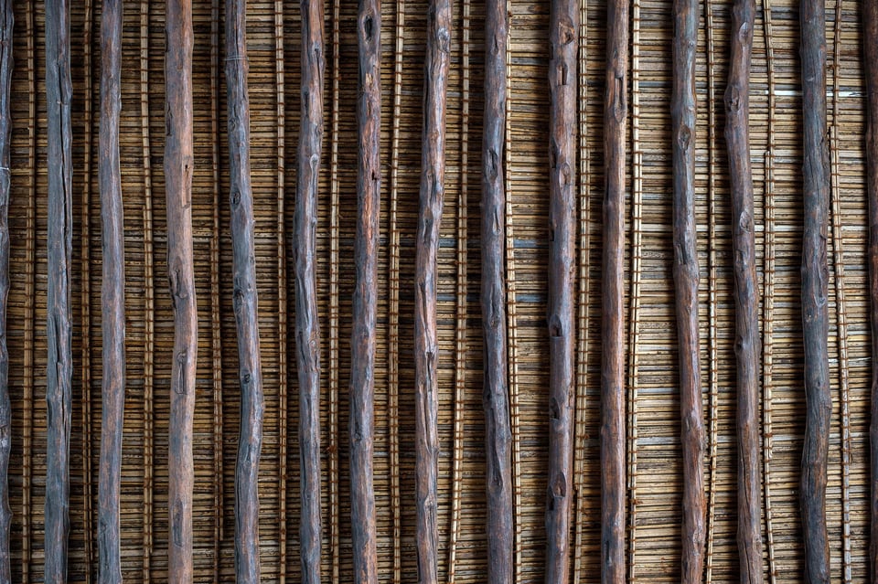 Fuji X-T30 Image Samples #1