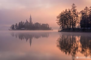 Misty morning at Lake Bled. A typical scene in winter.