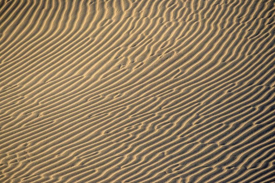 Nikon Z50 Sample Image #20