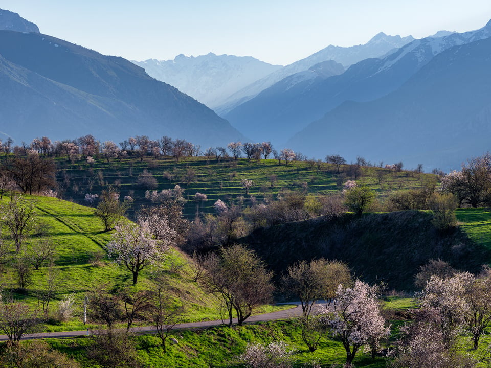 Tashkent Region, Uzbekistan