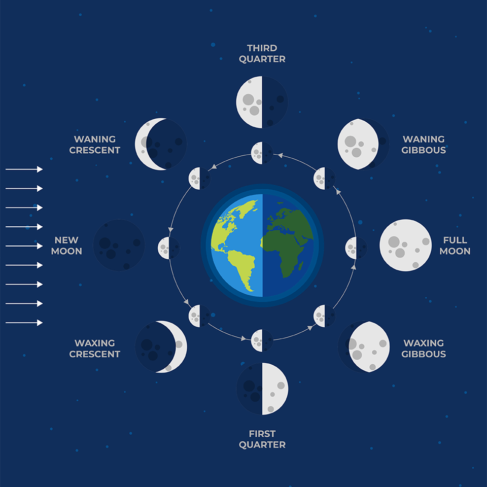 Moon Phases