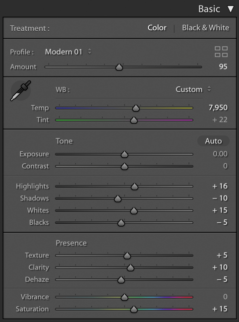 Basic Panel Sliders for Vestrahorn Photo