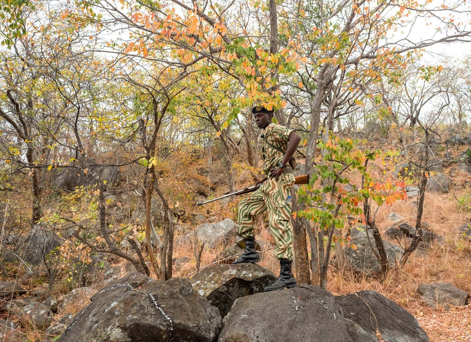 Anti-Poaching Scout, Lower Zambezi