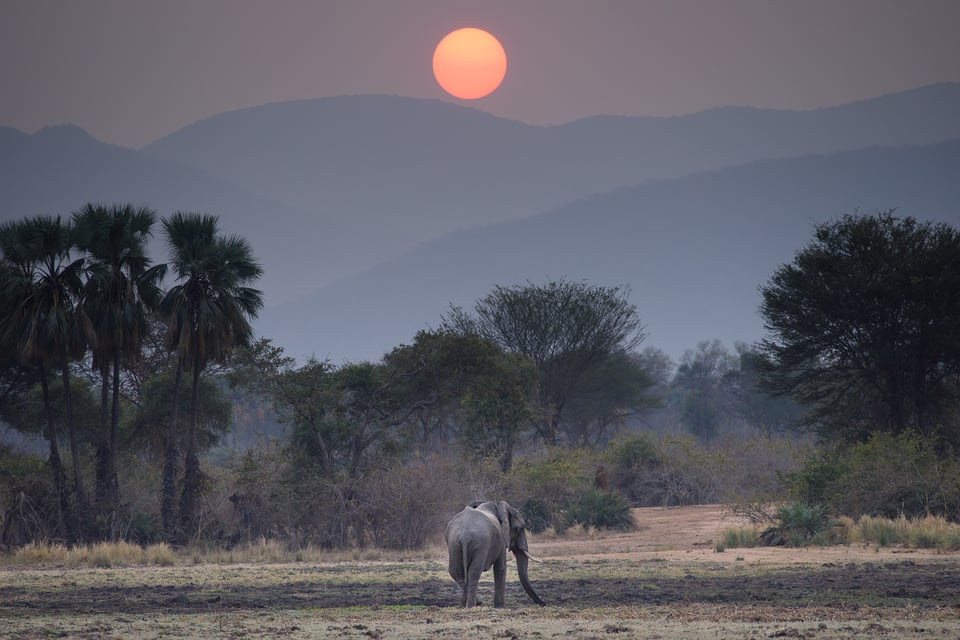 Lower Zambezi evening