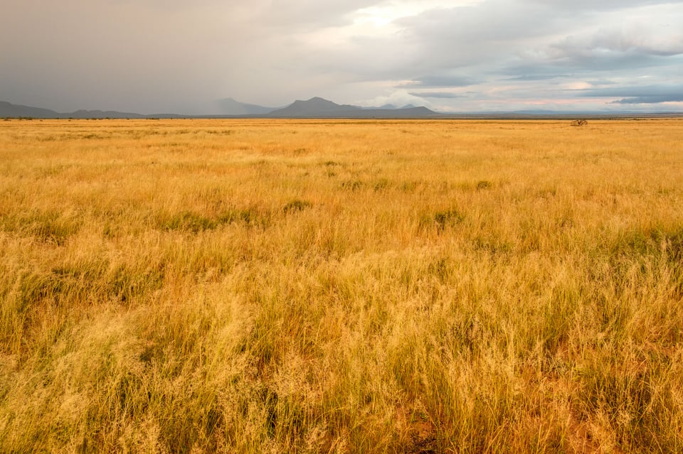 Samara’s low grasslands in autumn