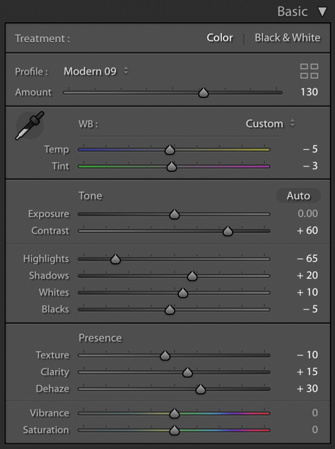 Lightroom Basic Panel Edits for Liwa Desert Photo