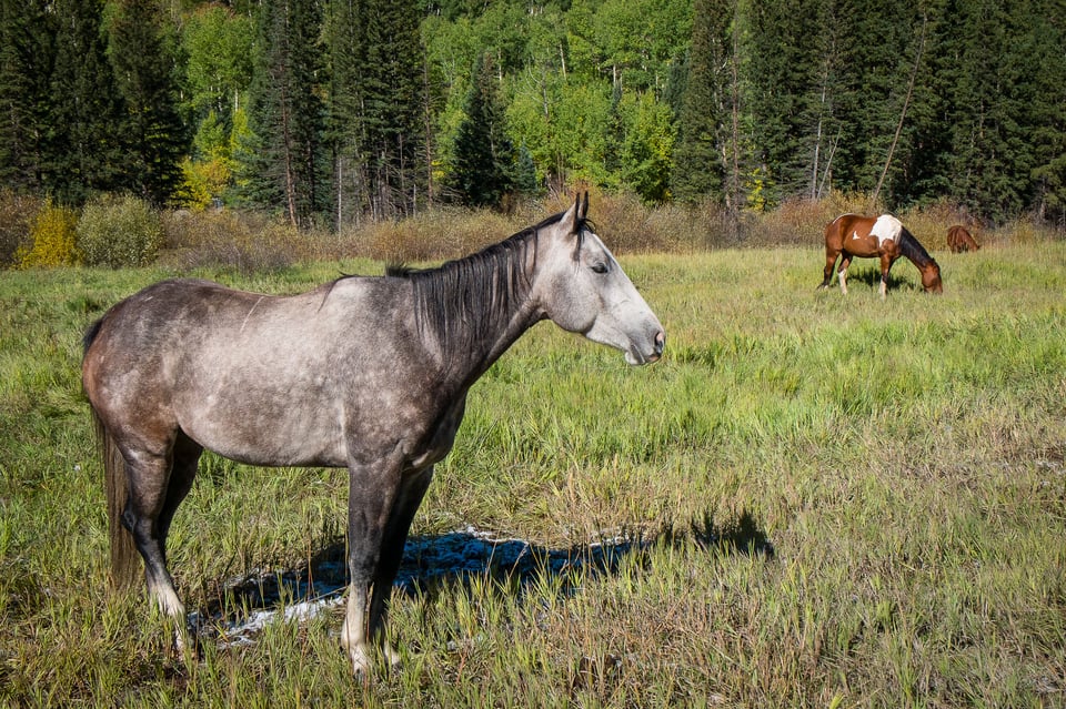 Fuji XC 16-50mm f/3.5-5.6 OIS Image Sample #4