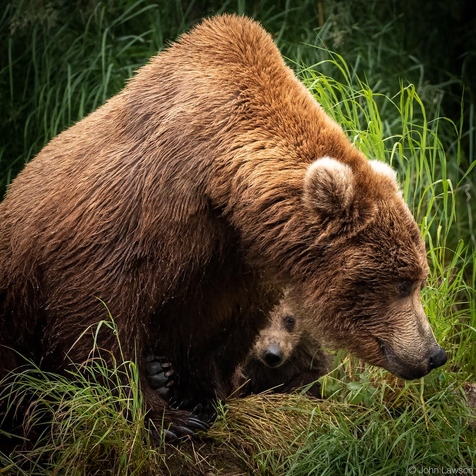 Nikon 180-400mm f/4E TC1.4 FL ED VR Image Sample #3