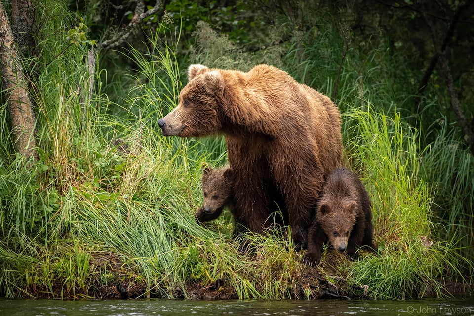 Nikon 180-400mm f/4E TC1.4 FL ED VR Image Sample #4