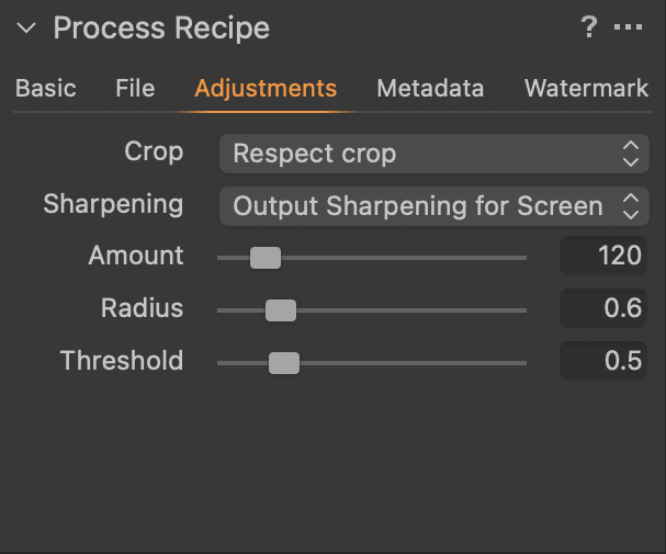 Capture One Process Recipe Adjustments Tab