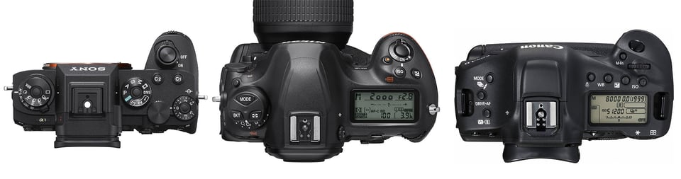 Sony A1 vs Nikon D6 vs Canon 1D X Mark III Top View