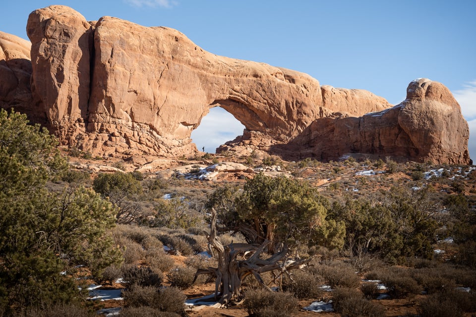 Window Arch