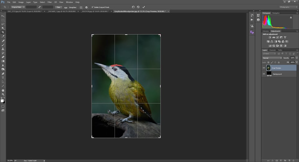 The Rule of Thirds in Photoshop