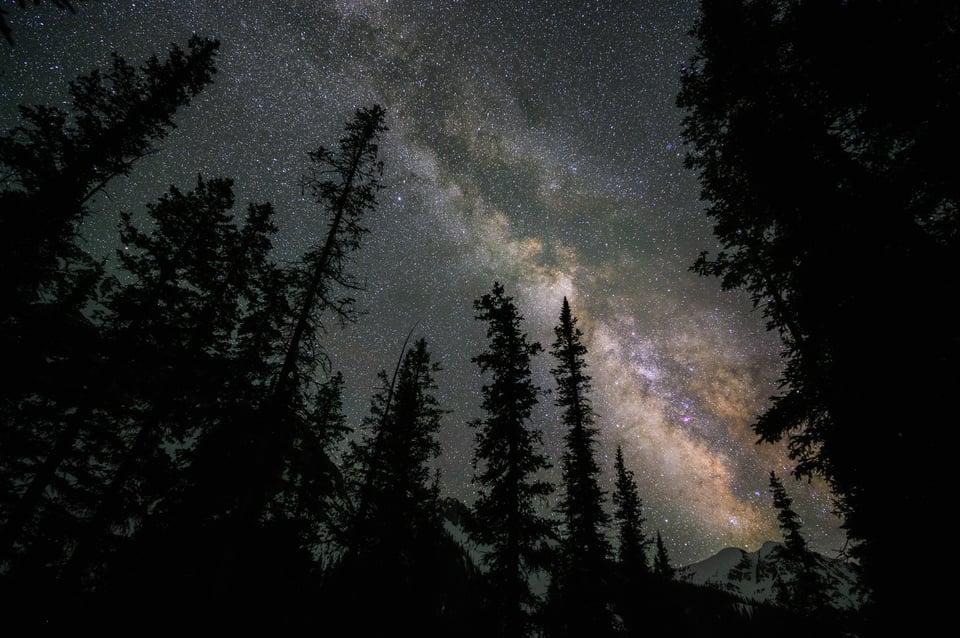 Image Stack for sharp stars with difficult trees in foreground