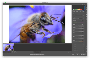 JPEG in Adobe Camera Raw