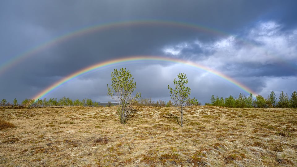 Nikon Z 14-24mm f/2.8 S #3