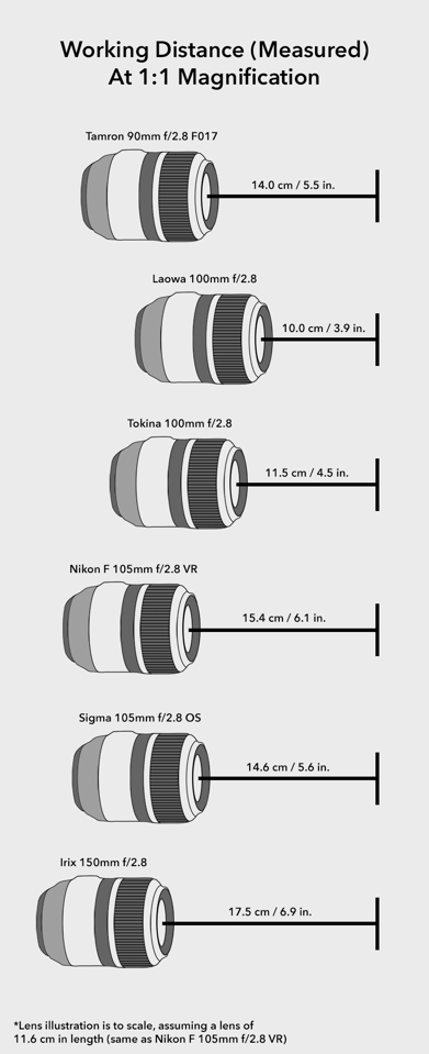 Working Distance Comparison Macro Lenses