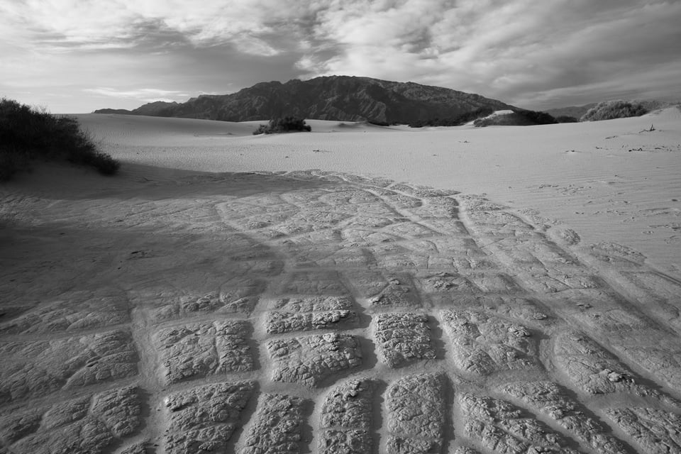 Death Valley Black And White Lines and Cracks